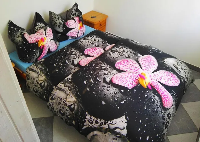 5 Monteur-ferienwohnungen Naehe Badesee Mit Bergblick *