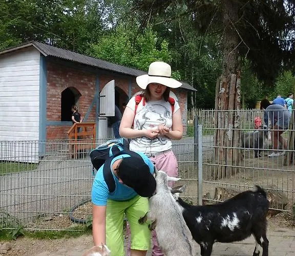 5 Monteur-ferienwohnungen Naehe Badesee Mit Bergblick Appartement Bergneustadt